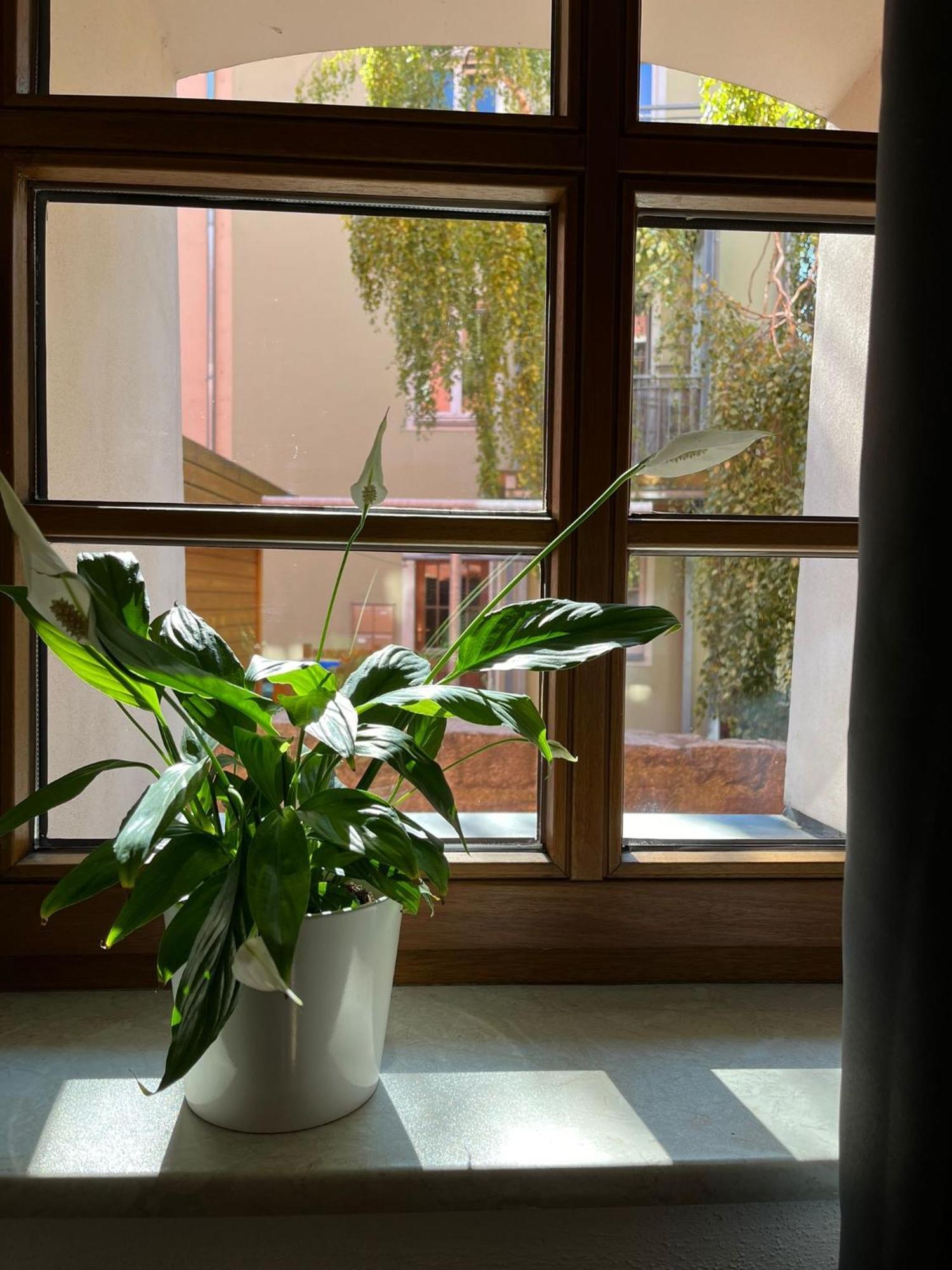 Appartement 5 Predigergasse เบาท์เซน ภายนอก รูปภาพ